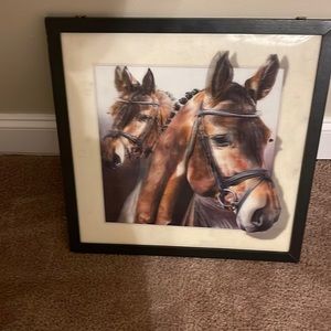 Horse picture